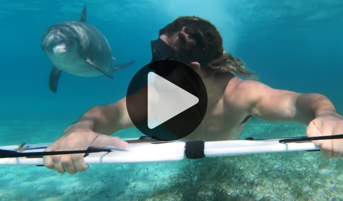 Austin Keen wakesurfing with Dolphins... La vidéo complète !