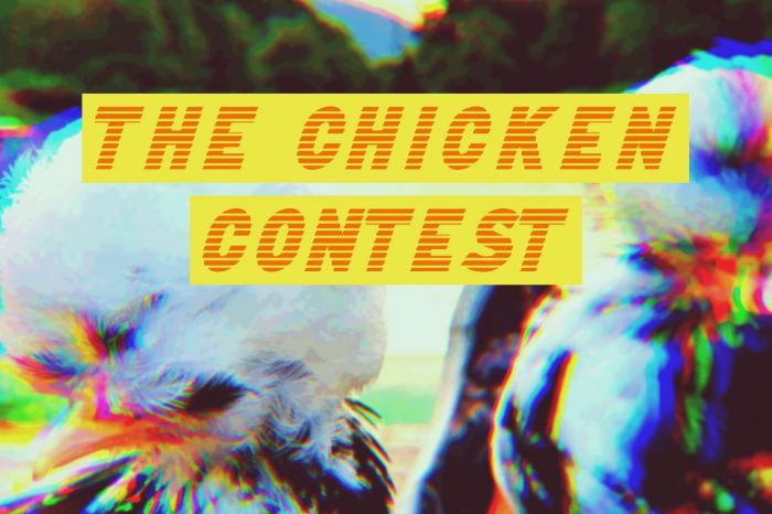 CHICKEN Contest 2020
